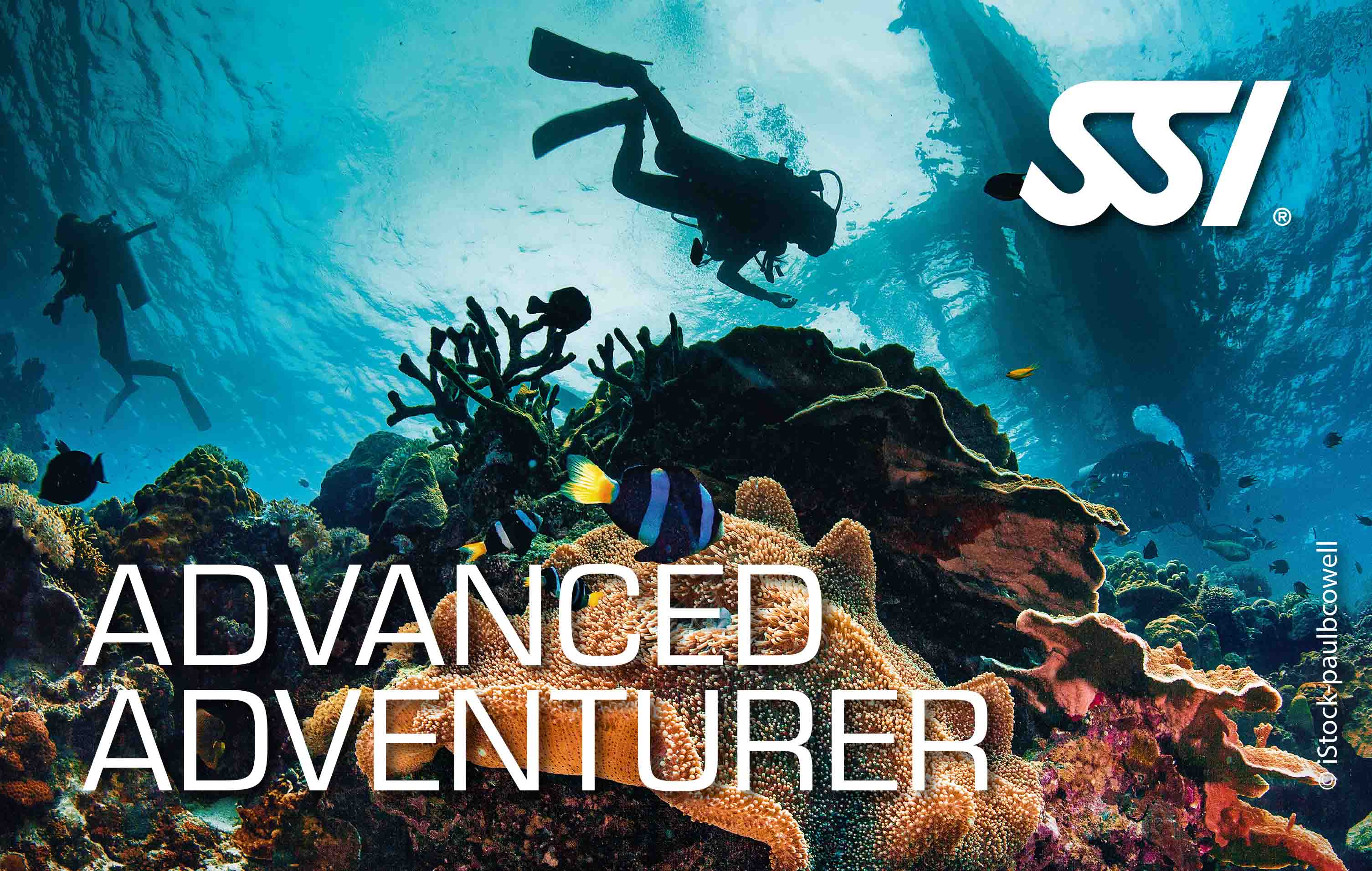 Formation : Advanced Adventurer Diver - Club de plongée Evolution Diver Amed Bali
