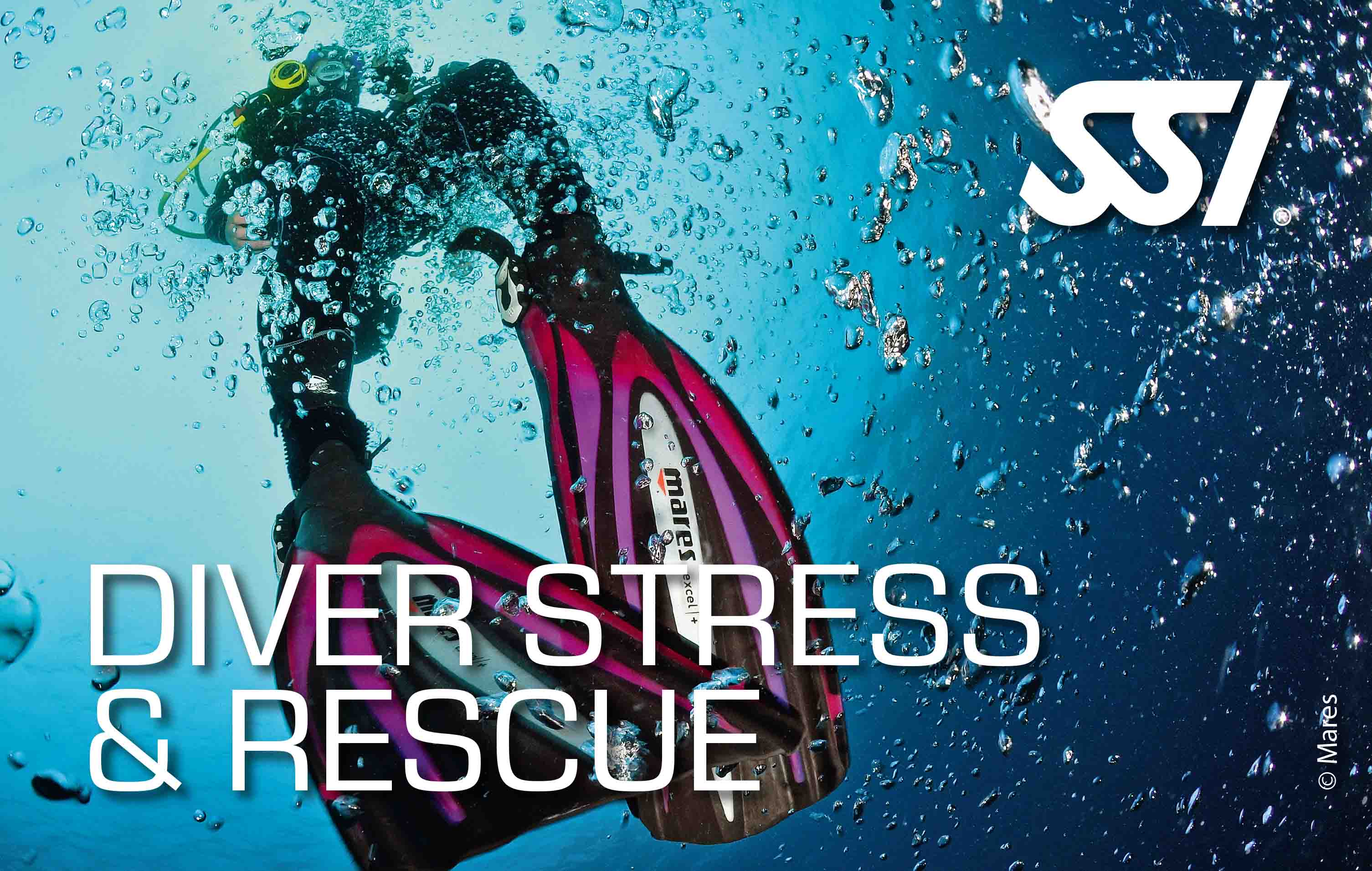Formation : Diver Stress & Rescue - French and English Diving Club in Amed, Bali