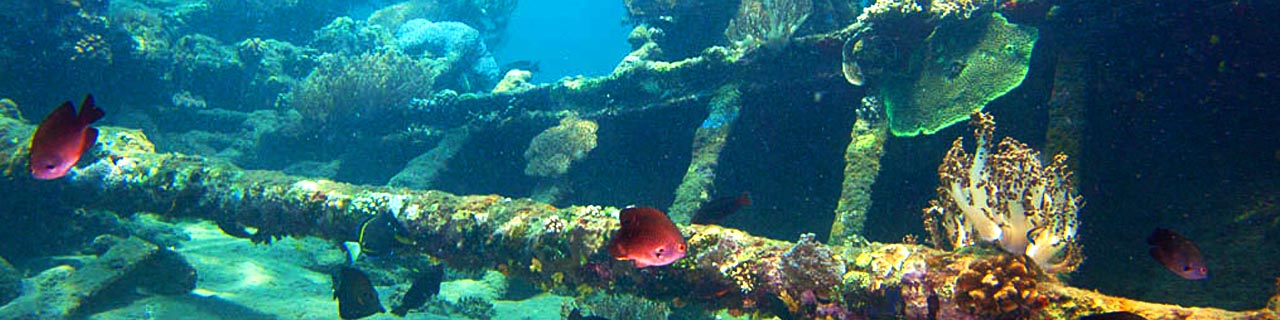 Amed - The Japanese Wreck