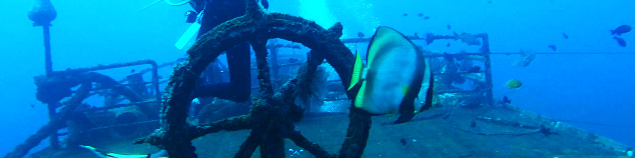 KUBU - The Boga Wreck