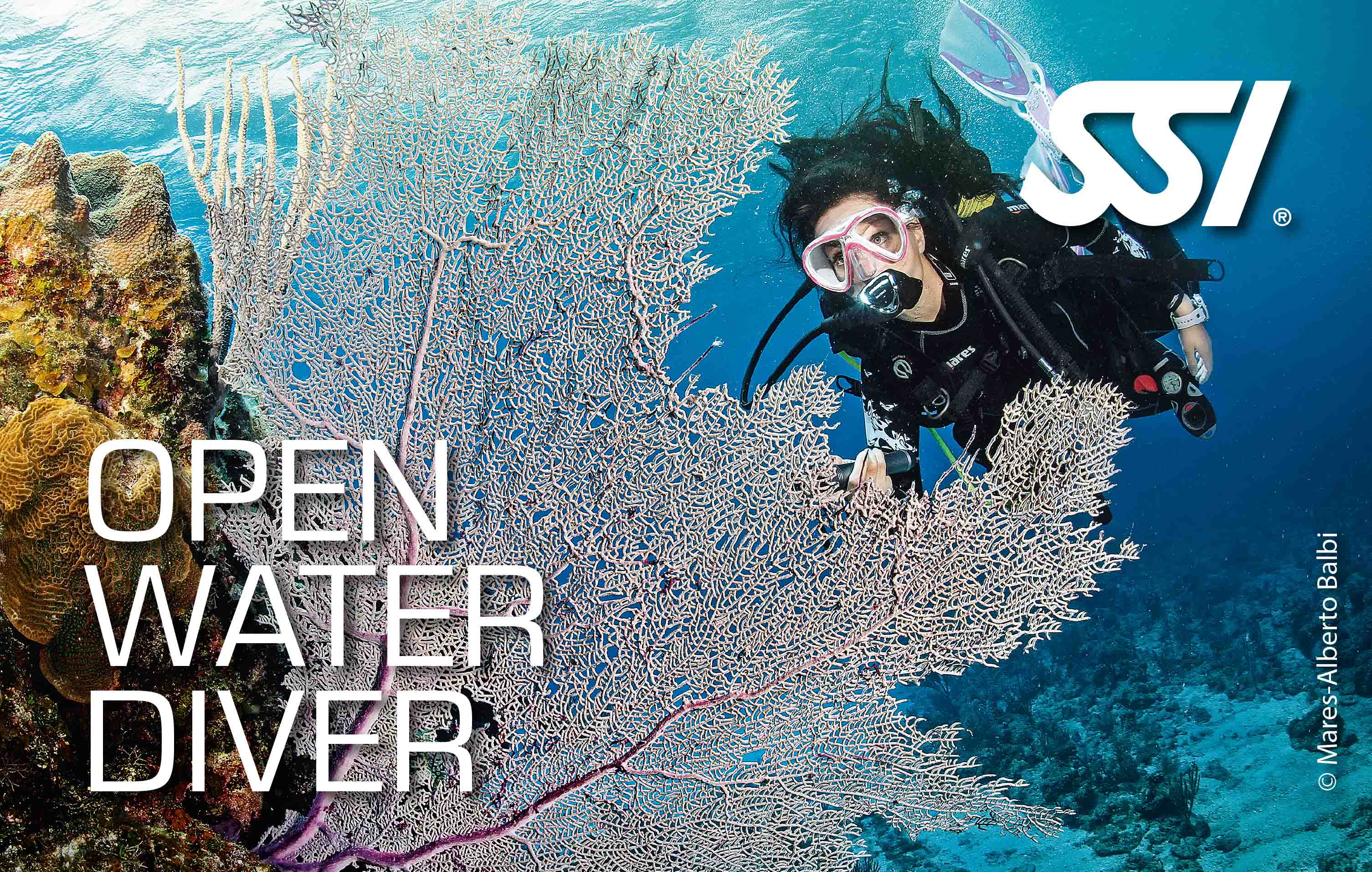 Formation : Open Water Diver : Niveau 1