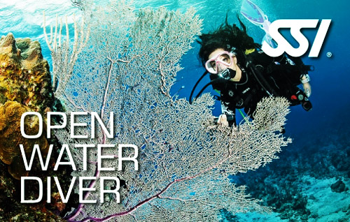 03 open water diver title