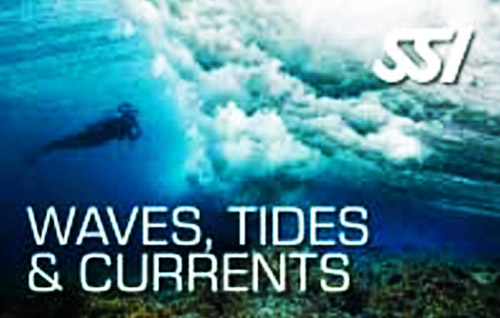 13 waves tides currents title