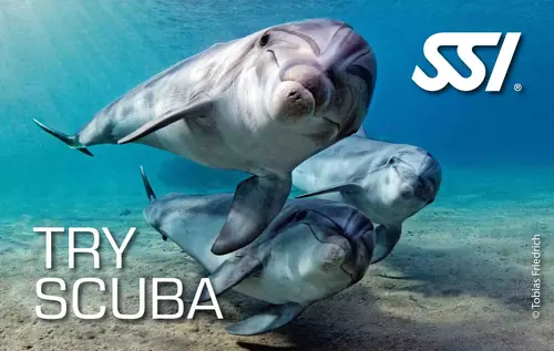 Try Scuba Diving course – Evolution Diver, dive center in Amed, Bali
