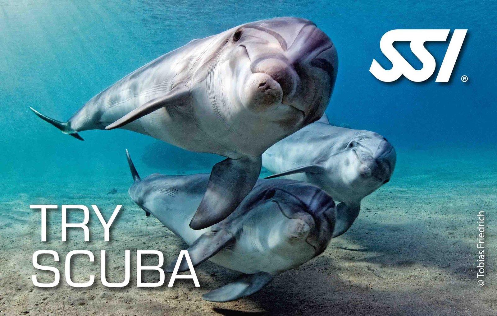 Try Scuba Diving course – Evolution Diver, dive center in Amed, Bali