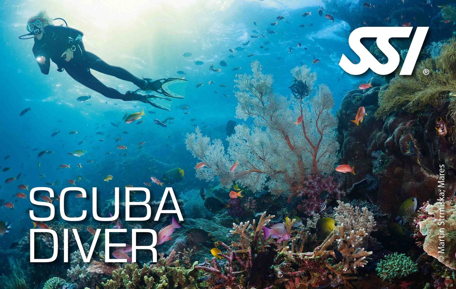 Formation Scuba Diver – Evolution Diver, club de plongée à Amed, Bali