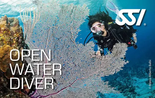 Open Water Diver : Level 1 course – Evolution Diver, dive center in Amed, Bali