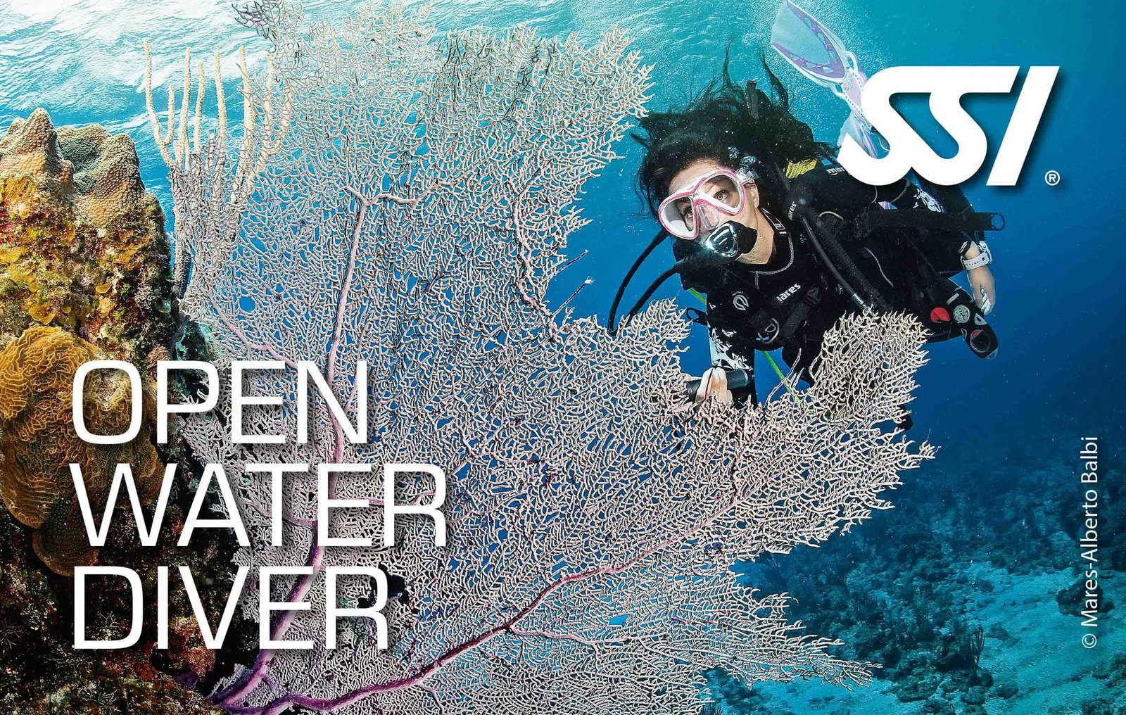 Open Water Diver : Level 1 course – Evolution Diver, dive center in Amed, Bali