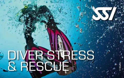 Diver Stress & Rescue course – Evolution Diver, dive center in Amed, Bali