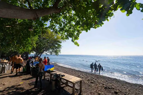 USAT Liberty's dive site 2