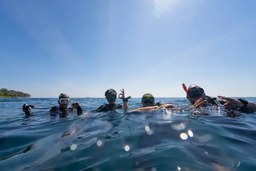 Open Water dive with Megane