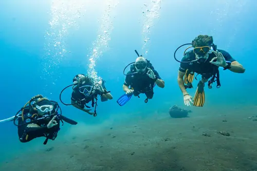 Open Water dive with Megane