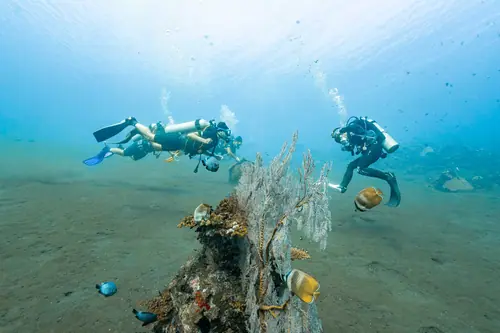 Open Water dive with Megane 2