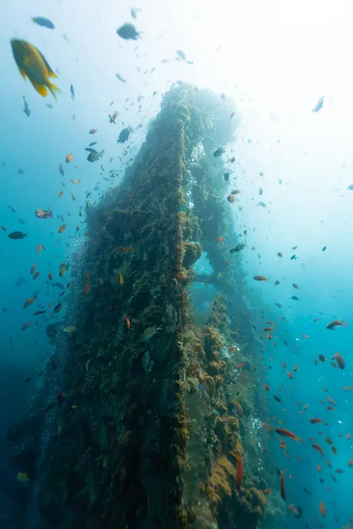 Liberty wreck