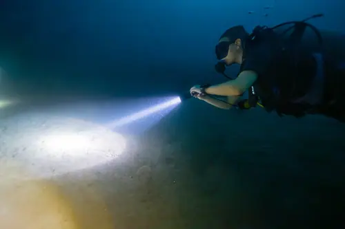 Night dive 3