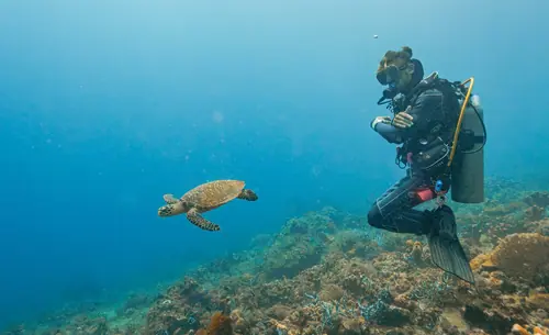 Julian and a turtle