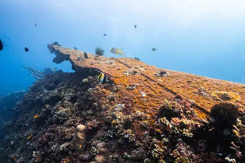 Liberty wreck 3