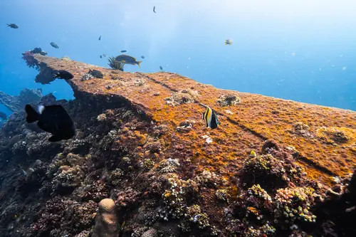 The Liberty wreck under the sun