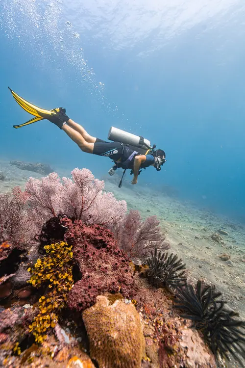 A diver at Lipah bay