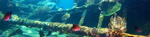 Dive site Amed - The Japanese Wreck – Evolution Diver, dive center in Amed, Bali