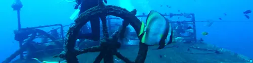Dive site KUBU - The Boga Wreck – Evolution Diver, dive center in Amed, Bali