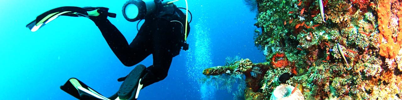 Dive site Tulamben - USAT Liberty Wreck – Evolution Diver, dive center in Amed, Bali